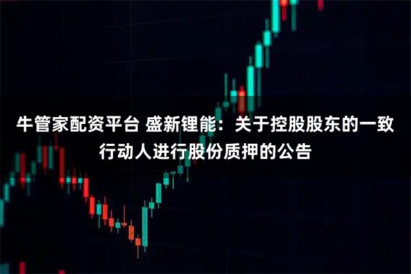 牛管家配资平台 盛新锂能：关于控股股东的一致行动人进行股份质押的公告